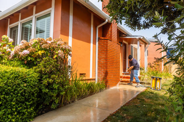 Deck Cleaning Services in Sorrento, LA