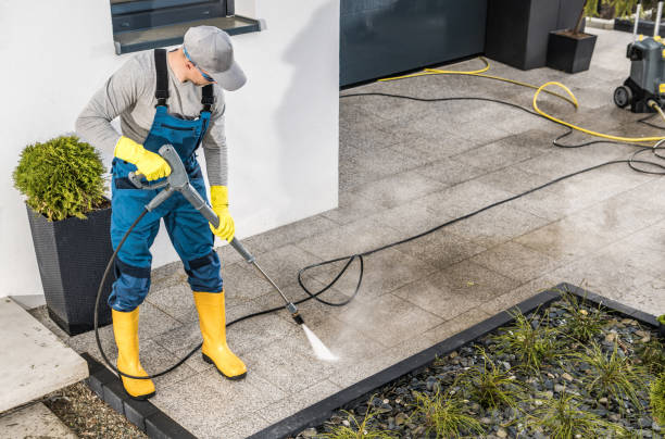 Best Pressure Washing Contractors  in Sorrento, LA